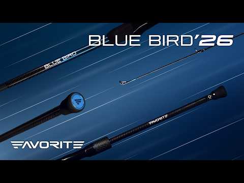 Favorite Blue Bird'26 (Chapter 4): нове покоління легендарного мікроджигу