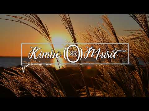 ZNO X PHIL COLLINS - TRUE COLORS - [REGGAE REMIX] 2023