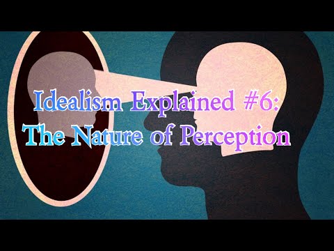 The Nature of Perception