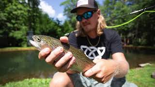 Cold Mountain Stream