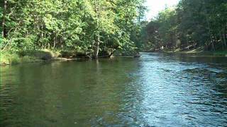 preview picture of video 'Rifle River by Rose City Michigan'