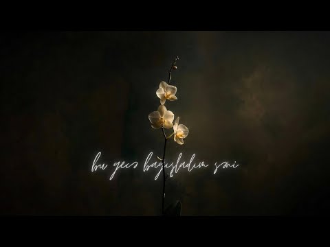 Lakonik - Bu Gecə Bağışladım Səni