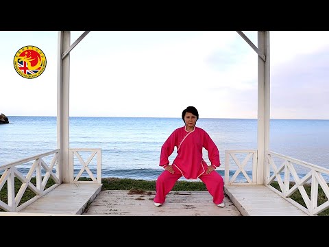 Health Qigong - Ba Duan Jin / Eight Treasures