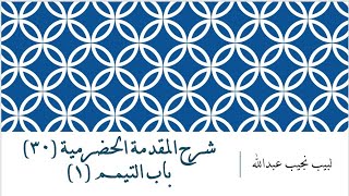 شرح المقدمة الحضرمية - 30 [باب التيمم (1) ] image