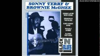 Drinking In The Blues Sonny Terry and Brownie McGhee