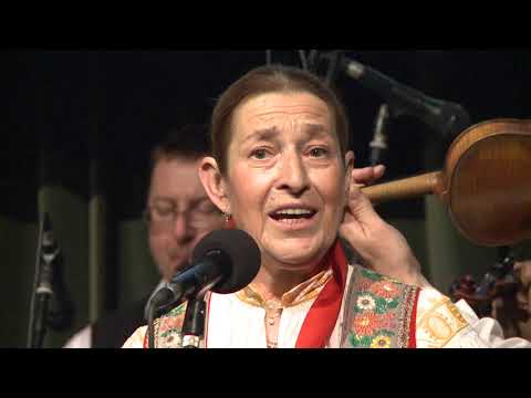 J. V. Staněk - Muzikantská krajina, 2. část: CM Jaroslava Čecha