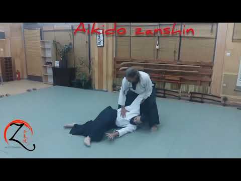 Aikido zanshin - fanis kokolis