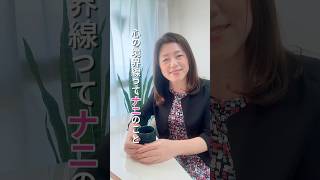 心の境界線ってなに？ #hsp #不安障害