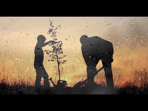 Làm Cha - Đông Dương - Bài Hát Lấy Đi Nước Mắt Người Nghe