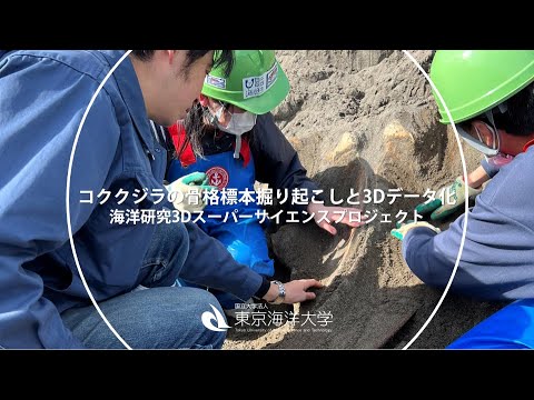 海洋電子機械工学科 「コククジラの骨格標本掘り起こしと3Dデータ化」海洋研究3Dスーパーサイエンスプロジェクト