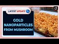 Gold Nanoparticles from Mushroom | Latest update | Drishti IAS English