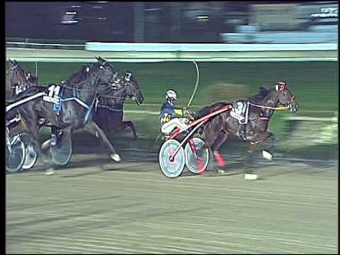 Trotto 30/10/2016 - 10ª corsa