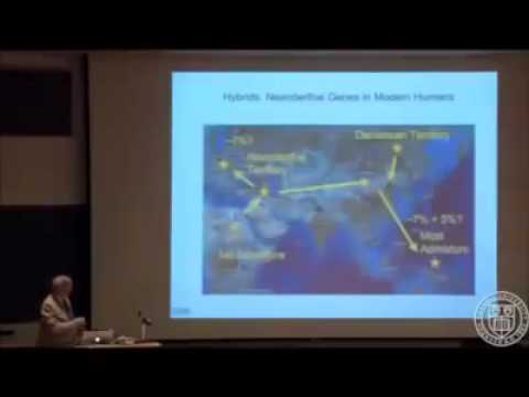 White Man Says Black People Are Pure Humans