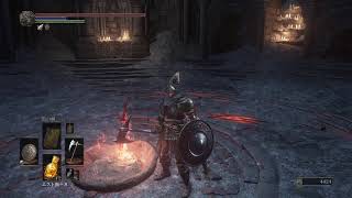 DARK SOULS III 火の簒奪者エンドを目指して#17