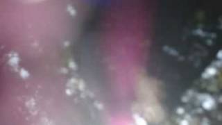 Messiaen - Poemes pour Mi