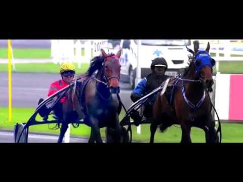 Aankondiging Timoko vs Bold Eagle | Prix du Bourbonnais | 11 december 2016