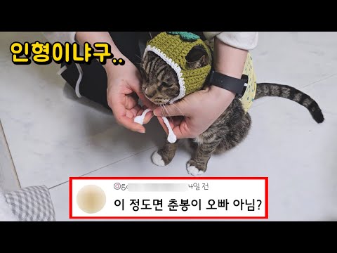 말도 안되게 착한 고양이!! 아빠가 옷을 사오면 생기는 일