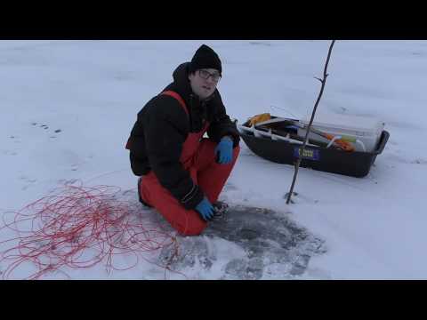 VERKON KOKEMINEN TALVELLA