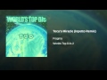 Toca's Miracle (Inpetto Remix) 