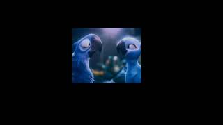 Carlinhos Brown - Ararinha (letra)