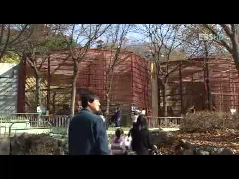 신과 다윈의 시대 1부 - 신의 과학, 진화를 묻다. [1/5]