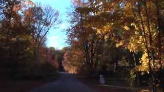 preview picture of video 'Maple Leaf Bush near Torrance Government Dock, Muskoka Lakes, Ontario, Canada (October 2013)'