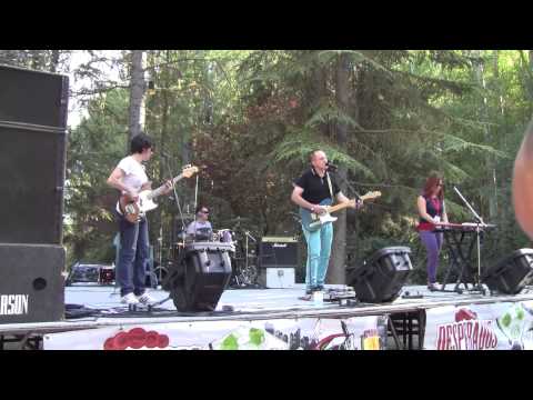 THE YELLOW MELODIES - Say goodbye (directo! Sonorama) (16-8-2014)