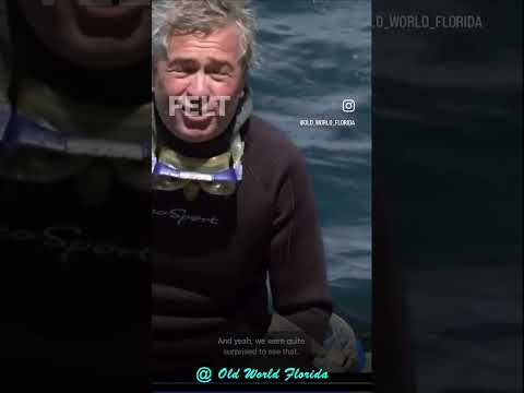 Do the Saxer Stones prove Florida was Atlantis? #megalithic #atlantis #noah