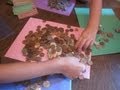 Counting Sorting Coins | Letter C | Cullen’s Abc’s