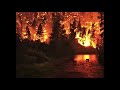 Flashbulb - California Dreaming