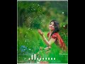 Bul Bula Re Bula Whatsapp Status