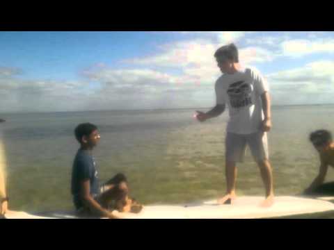 Huckleberry Finn Video