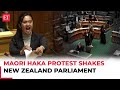 Watch New Zealand MPs Perform Haka In Parliament To Disrupt Vote On Controversial treaty bill