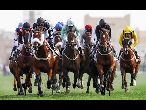 10th Race Meeting of Season 2019/2020