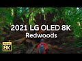 2021 LG OLED 8K L Redwoods 8K HDR 60fps