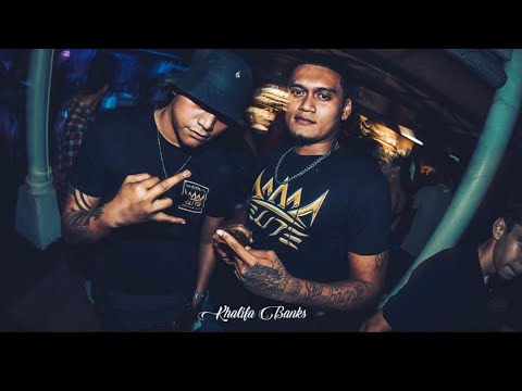 ryco ( labrodz x dzer )