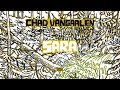 Chad VanGaalen - Sara (not the video) 