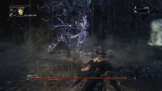 【Bloodborne】一人で気ままにブラッドボーン 第九回【実況】