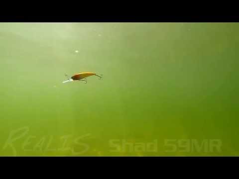 Leurre Poisson DUO REALIS SHAD 62DR, Suspension, Couleur Gill Halo, 6g, 62mm