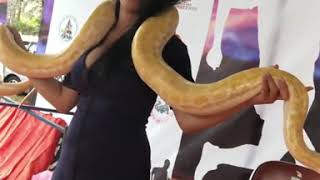 Download lagu Uci Farantika Ular Saja Aku Pegang Apalagi Punya Kamu mp3