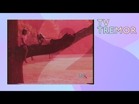 Večernja škola: Povratak upisanih S02E03, Zlikavci. HTV2, 2005.