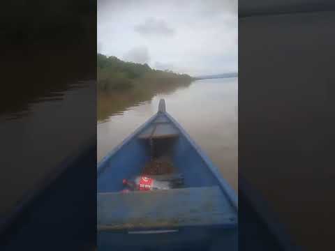 vamos fazer um passeio no rio Araguaia o vídeo do nosso amigo Jonas