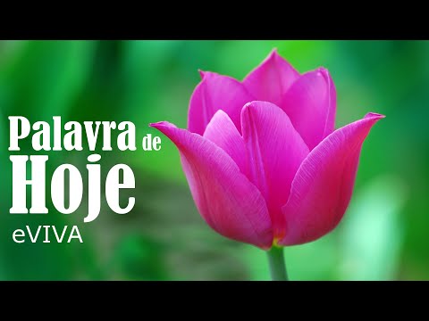 WORD OF THE DAY AUGUST 19, 2023 | DAILY DEVOTIONAL | MOTIVATIONAL AND LIFE REFLECTION eVIVA