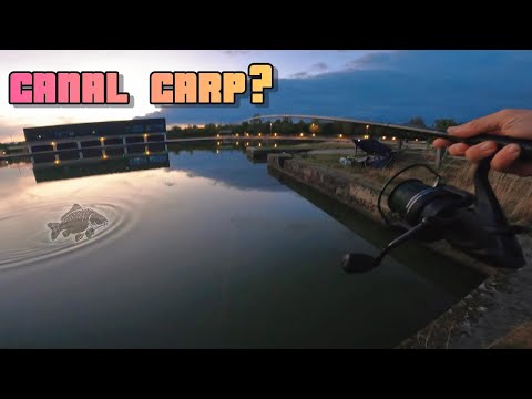 Can We Catch One of The Elusive Carp From THIS canal? - 48hr session