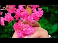 Shreyasupercomedy Is Live Youtubelive Singsing