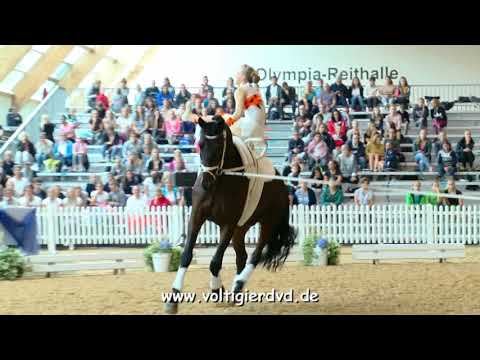 Michelle Baran - Female 32 - DJM Voltigieren München 2018