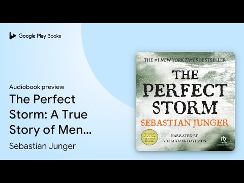 The Perfect Storm by Sebastian Junger · Audiobook preview