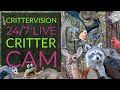 CritterVision Critter Cam
