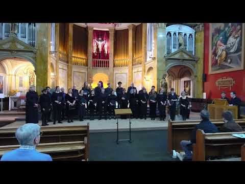 11 Assandra - Ego flos campi