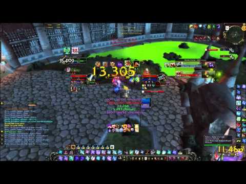 Affliction Warlock 5.4 Arena INSANE DPS (2vs2)